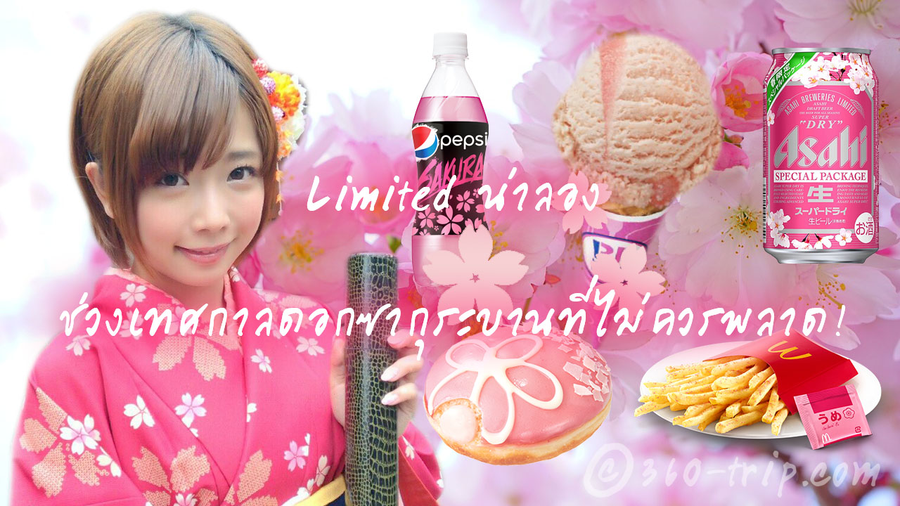 Sakura-ดอกซากุระ-cherry blossoms-limited