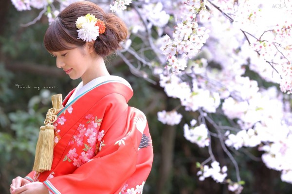 kimono-sakura
